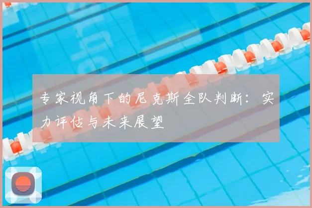 专家视角下的尼克斯全队判断:实力评估与未来展望