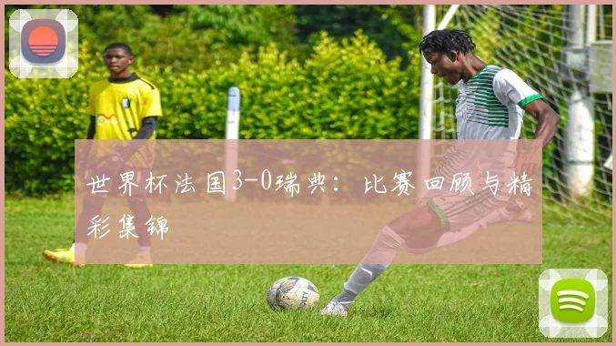 世界杯法国3-0瑞典：比赛回顾与精彩集锦